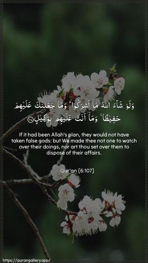 Al-An"aam Ayah 107 - Arabic + English wallpaper