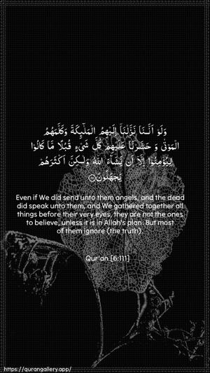 Al-An"aam Ayah 111 - Arabic + English wallpaper
