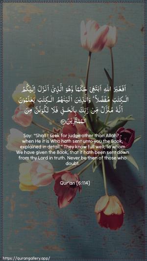 Al-An"aam Ayah 114 - Arabic + English wallpaper