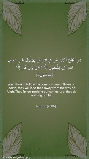 Al-An"aam Ayah 116 - Arabic + English wallpaper