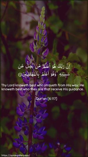 Al-An"aam Ayah 117 - Arabic + English wallpaper