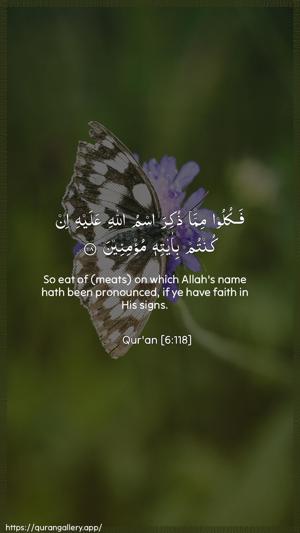 Al-An"aam Ayah 118 - Arabic + English wallpaper