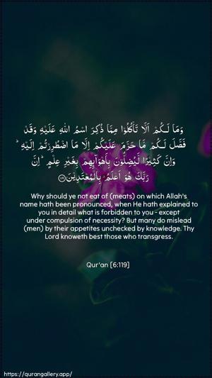Al-An"aam Ayah 119 - Arabic + English wallpaper