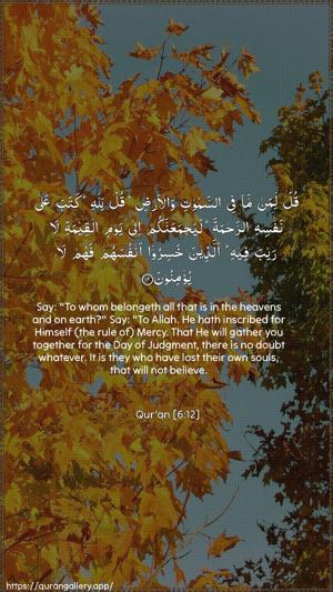 Al-An"aam Ayah 12 - Arabic + English wallpaper