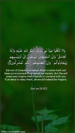 Al-An"aam Ayah 121 - Arabic + English wallpaper