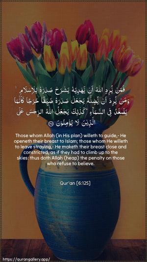 Al-An"aam Ayah 125 - Arabic + English wallpaper