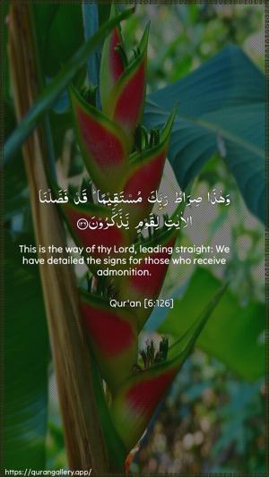 Al-An"aam Ayah 126 - Arabic + English wallpaper
