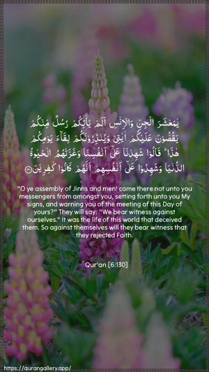 Al-An"aam Ayah 130 - Arabic + English wallpaper