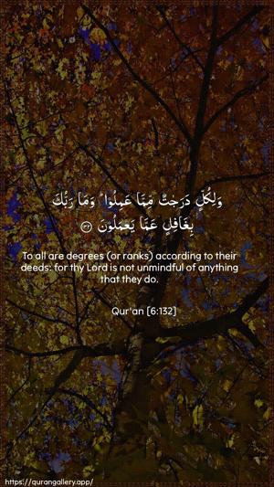 Al-An"aam Ayah 132 - Arabic + English wallpaper