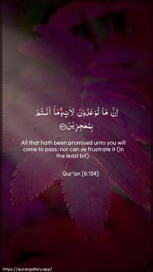 Al-An"aam Ayah 134 - Arabic + English wallpaper