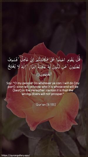 Al-An"aam Ayah 135 - Arabic + English wallpaper