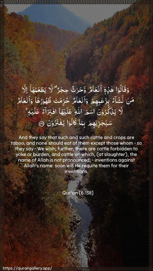 Al-An"aam Ayah 138 - Arabic + English wallpaper
