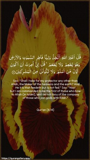 Al-An"aam Ayah 14 - Arabic + English wallpaper