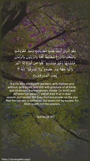 Al-An"aam Ayah 141 - Arabic + English wallpaper