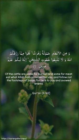 Al-An"aam Ayah 142 - Arabic + English wallpaper