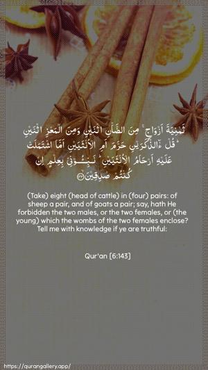 Al-An"aam Ayah 143 - Arabic + English wallpaper
