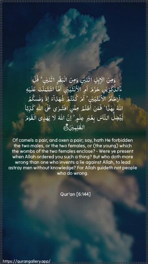 Al-An"aam Ayah 144 - Arabic + English wallpaper