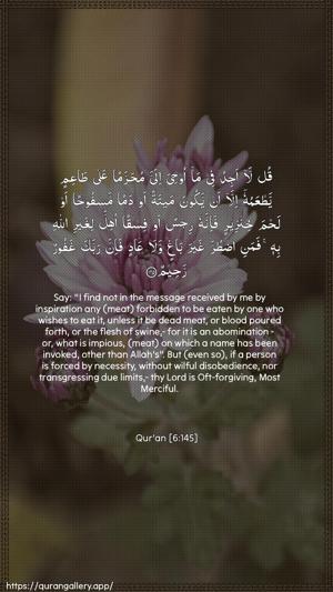 Al-An"aam Ayah 145 - Arabic + English wallpaper