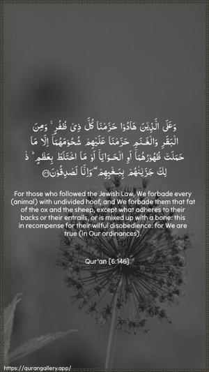 Al-An"aam Ayah 146 - Arabic + English wallpaper
