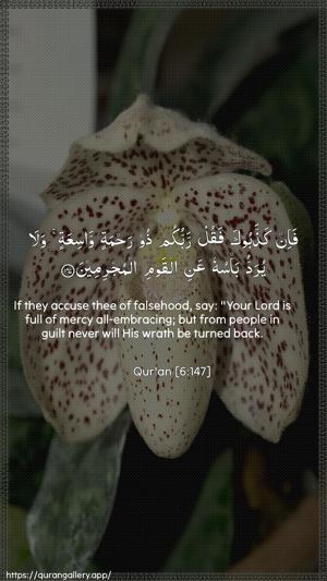 Al-An"aam Ayah 147 - Arabic + English wallpaper