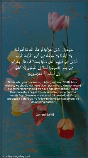 Al-An"aam Ayah 148 - Arabic + English wallpaper