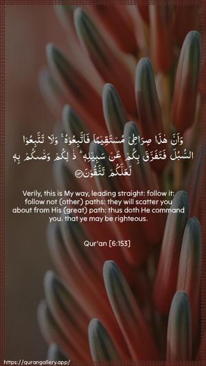 Al-An"aam Ayah 153 - Arabic + English wallpaper