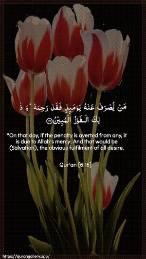 Al-An"aam Ayah 16 - Arabic + English wallpaper