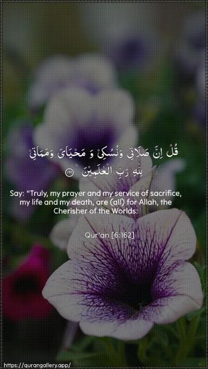 Al-An"aam Ayah 162 - Arabic + English wallpaper