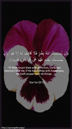 Al-An"aam Ayah 17 - Arabic + English wallpaper