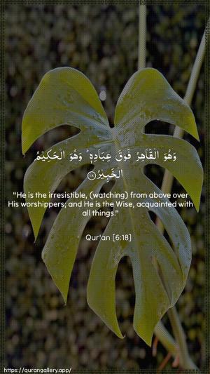 Al-An"aam Ayah 18 - Arabic + English wallpaper