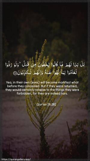 Al-An"aam Ayah 28 - Arabic + English wallpaper