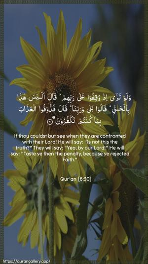 Al-An"aam Ayah 30 - Arabic + English wallpaper