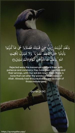 Al-An"aam Ayah 34 - Arabic + English wallpaper