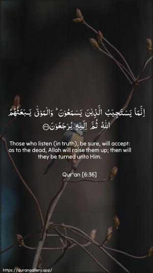 Al-An"aam Ayah 36 - Arabic + English wallpaper