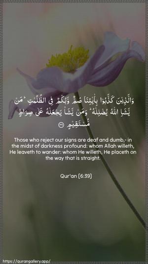 Al-An"aam Ayah 39 - Arabic + English wallpaper