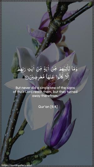 Al-An"aam Ayah 4 - Arabic + English wallpaper