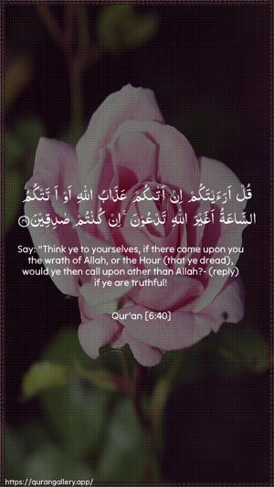 Al-An"aam Ayah 40 - Arabic + English wallpaper