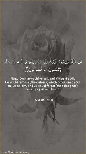 Al-An"aam Ayah 41 - Arabic + English wallpaper