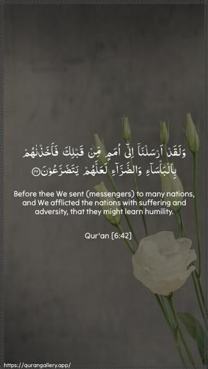Al-An"aam Ayah 42 - Arabic + English wallpaper