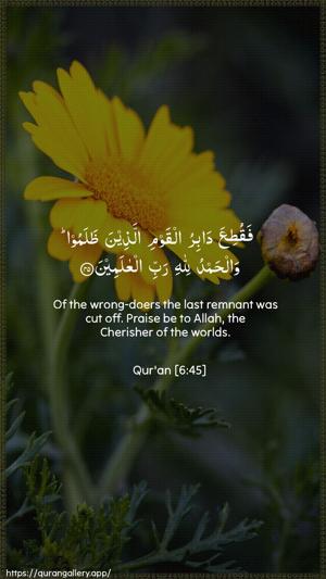 Al-An"aam Ayah 45 - Arabic + English wallpaper