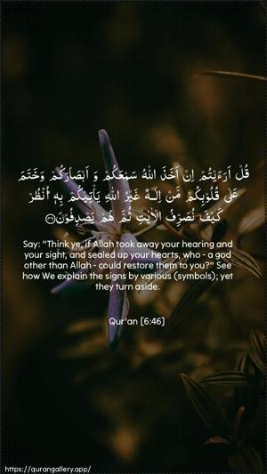 Al-An"aam Ayah 46 - Arabic + English wallpaper