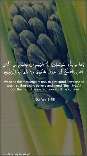 Al-An"aam Ayah 48 - Arabic + English wallpaper