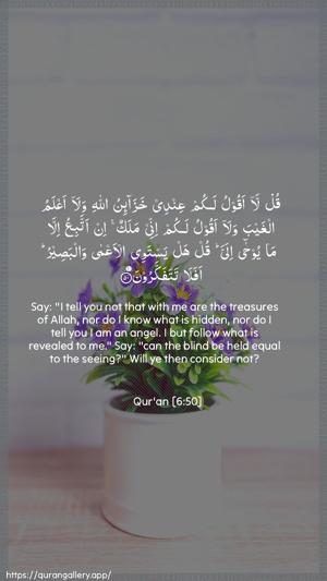 Al-An"aam Ayah 50 - Arabic + English wallpaper