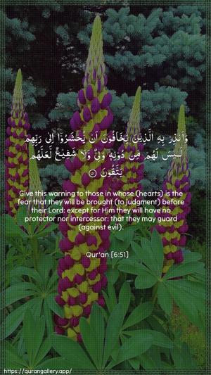 Al-An"aam Ayah 51 - Arabic + English wallpaper