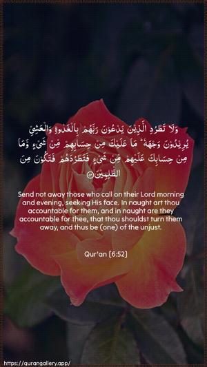 Al-An"aam Ayah 52 - Arabic + English wallpaper