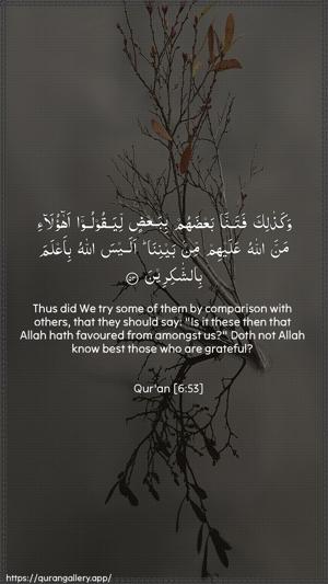 Al-An"aam Ayah 53 - Arabic + English wallpaper