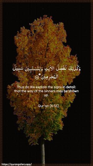 Al-An"aam Ayah 55 - Arabic + English wallpaper