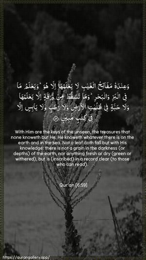 Al-An"aam Ayah 59 - Arabic + English wallpaper