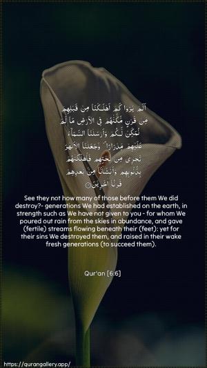 Al-An"aam Ayah 6 - Arabic + English wallpaper