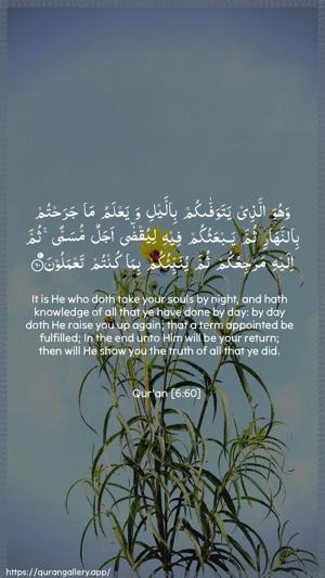 Al-An"aam Ayah 60 - Arabic + English wallpaper